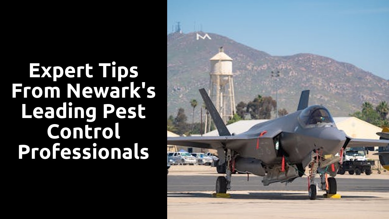 Expert Tips From Newark's Leading Pest Control Professionals